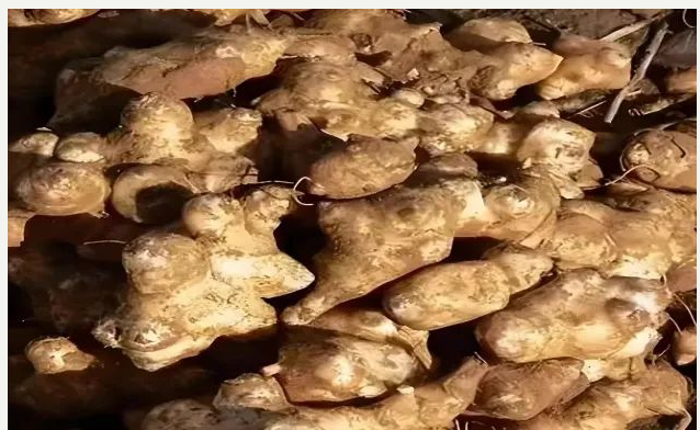 9fa36ddeea4e151559813a17ed1fe85