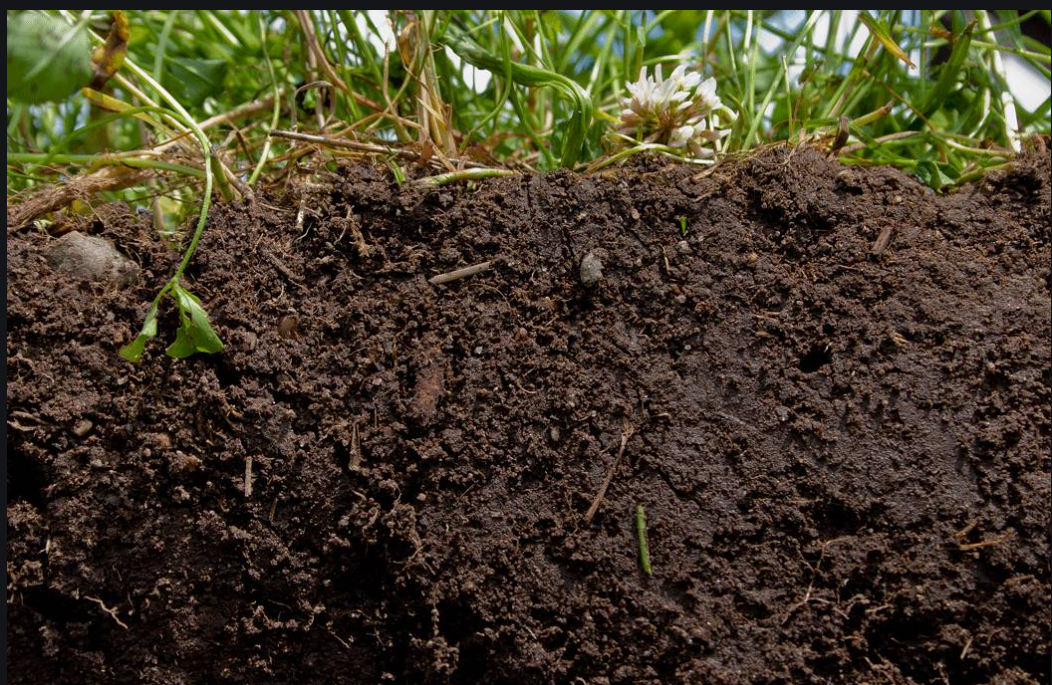 10657cc8221848d32e7007bf4b31e0e 10657cc8221848d32e7007bf4b31e0e