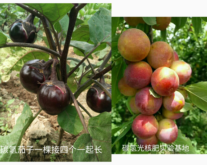 碳?xì)浜朔蕦?shí)驗(yàn)基地