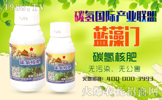 碳?xì)鋰?guó)際成功入駐1988.TV，共譜網(wǎng)絡(luò)招商新篇