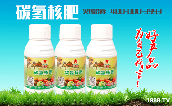 碳?xì)鋰?guó)際成功入駐1988.TV，共譜網(wǎng)絡(luò)招商新篇