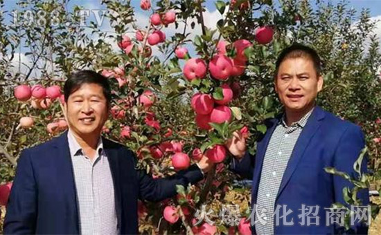 碳氫核肥十大新聞