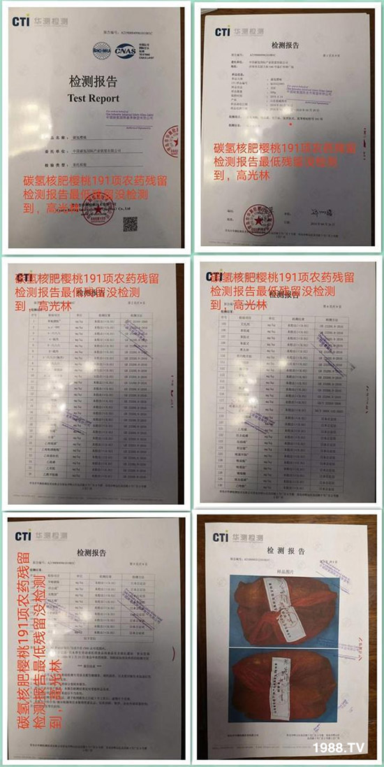     碳?xì)浜朔鼠@艷泰山櫻桃產(chǎn)銷對(duì)接大會(huì)碳?xì)錂烟?91項(xiàng)零農(nóng)藥殘留